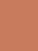 Dusty Terracotta, #C97C5D