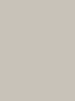 Gray Beige, #C8C2B8