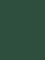 Forest Green, #2F4F3E